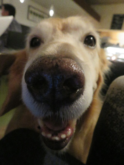 ファイル 5985-4.jpg