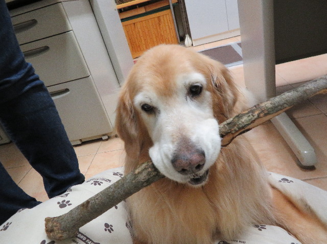 ファイル 5985-5.jpg