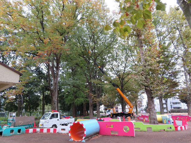 ファイル 5986-1.jpg