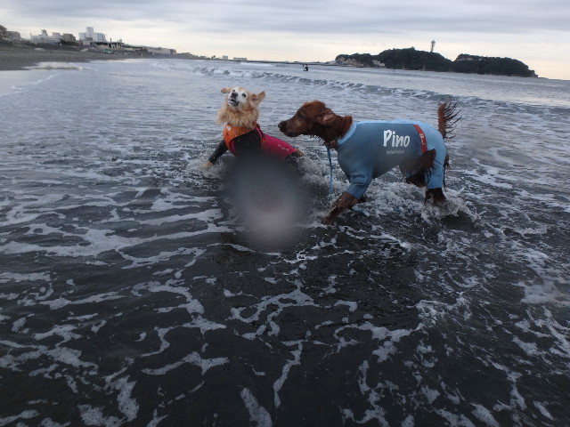 ファイル 5987-4.jpg