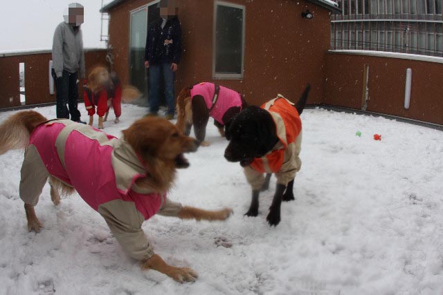 ファイル 599-4.jpg