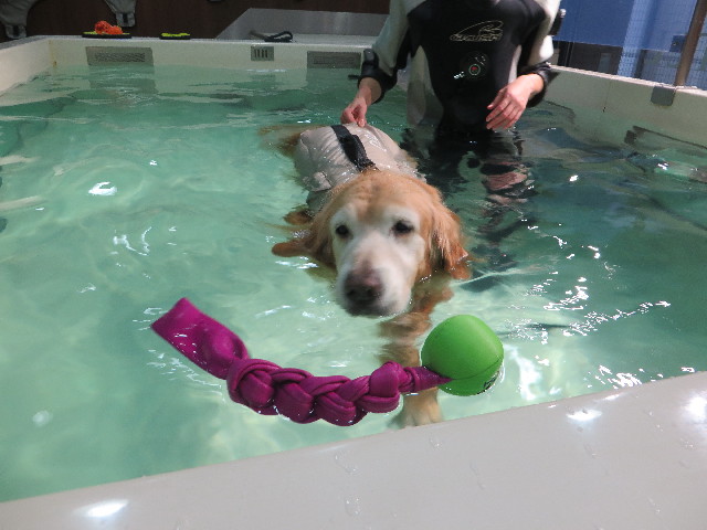 ファイル 5993-1.jpg