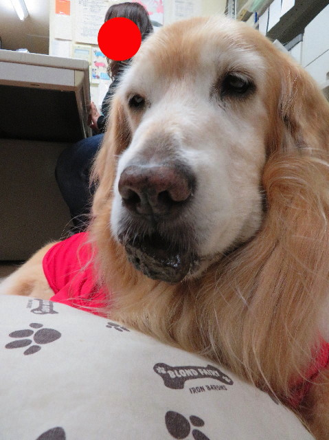 ファイル 5994-4.jpg