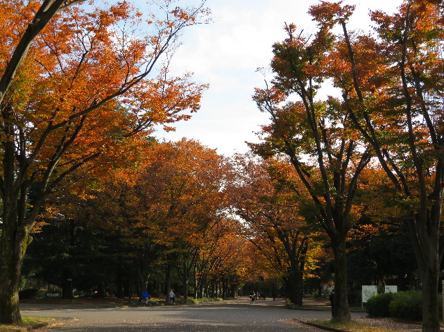 ファイル 5995-1.jpg