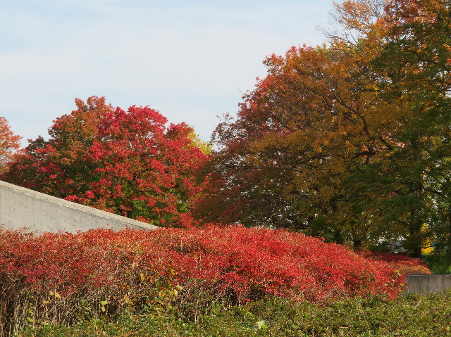 ファイル 5995-3.jpg