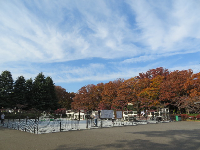 ファイル 5995-5.jpg