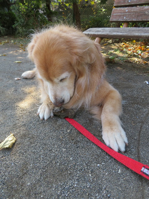 ファイル 5998-2.jpg