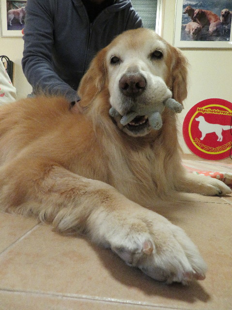 ファイル 5998-5.jpg