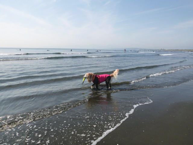 ファイル 6004-2.jpg