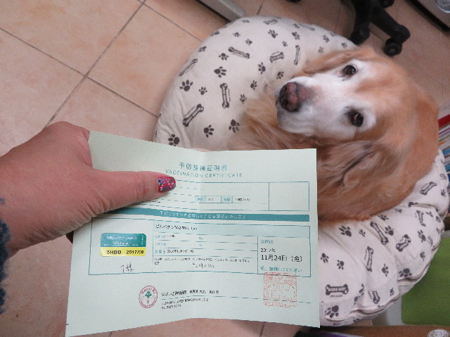 ファイル 6010-5.jpg