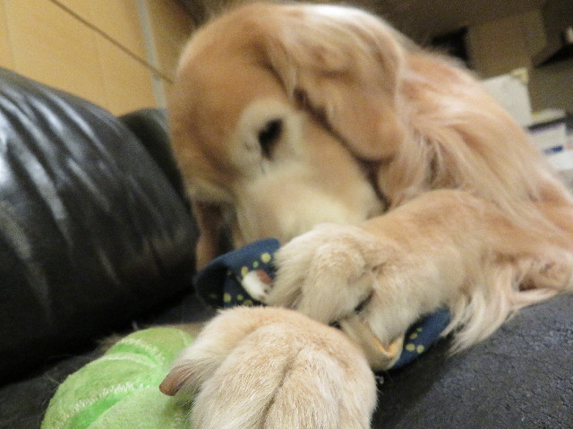 ファイル 6011-5.jpg