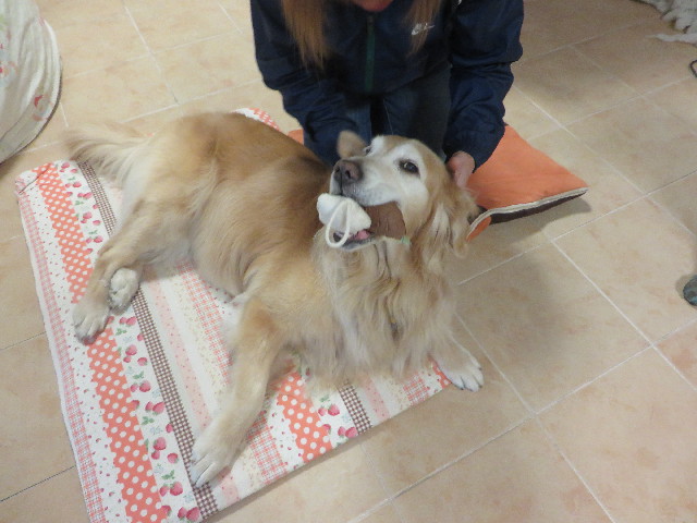 ファイル 6012-2.jpg