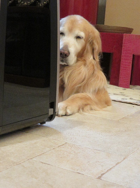 ファイル 6013-3.jpg