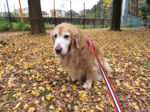 ファイル 6016-5.jpg