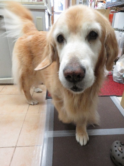 ファイル 6017-5.jpg