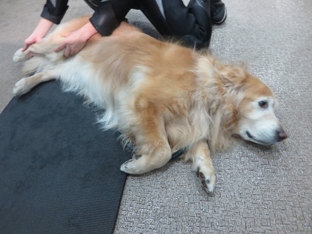 ファイル 6018-1.jpg