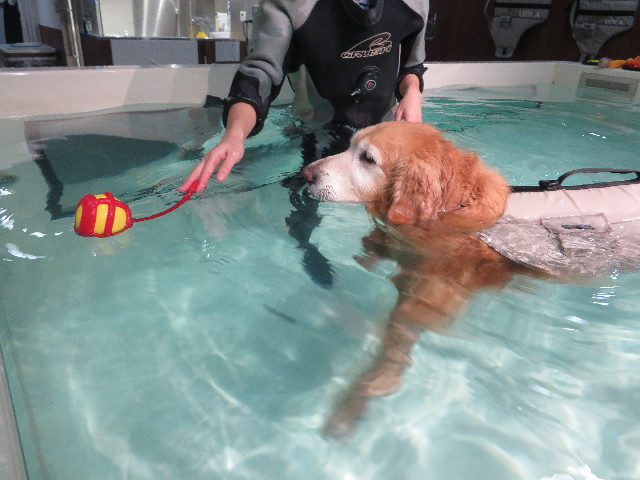 ファイル 6018-2.jpg