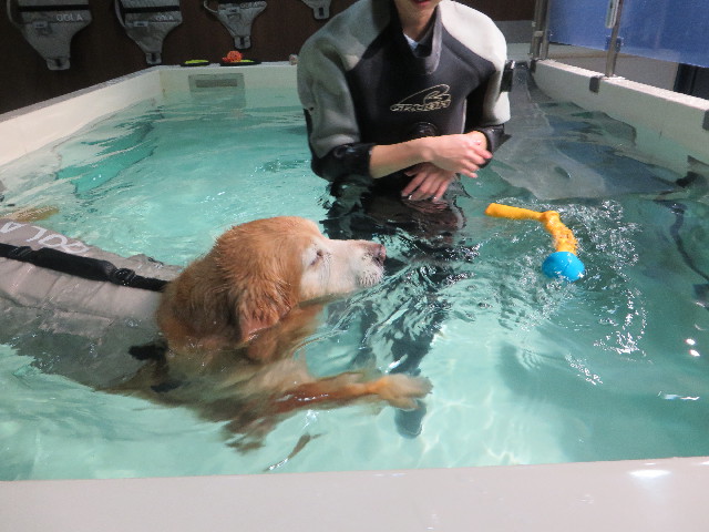 ファイル 6018-3.jpg