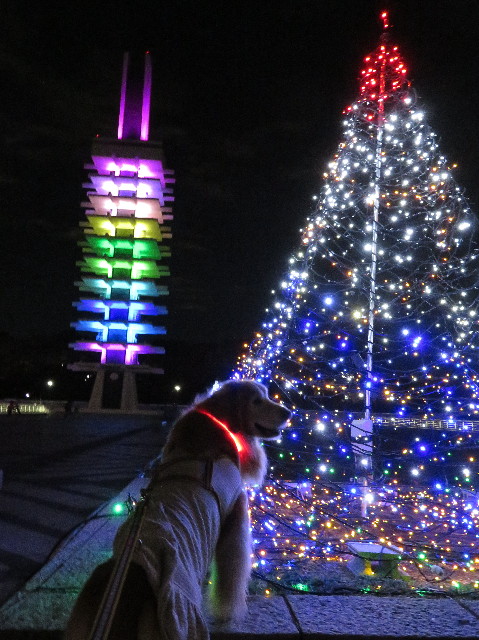 ファイル 6019-3.jpg