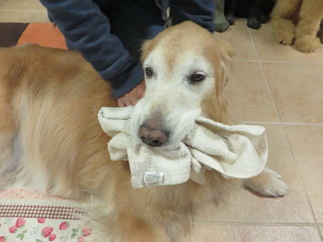 ファイル 6021-1.jpg