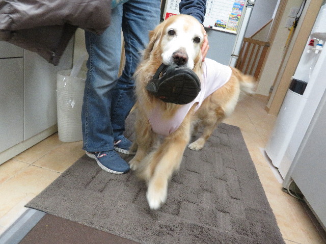 ファイル 6021-2.jpg