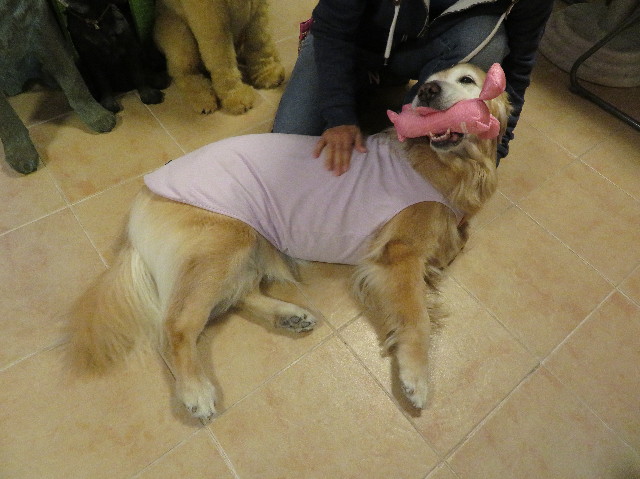 ファイル 6021-3.jpg