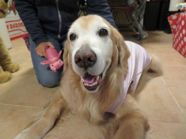 ファイル 6021-4.jpg