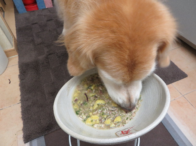 ファイル 6023-5.jpg