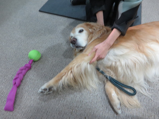 ファイル 6024-1.jpg