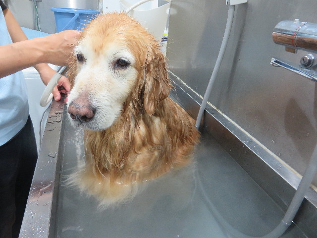 ファイル 6024-5.jpg