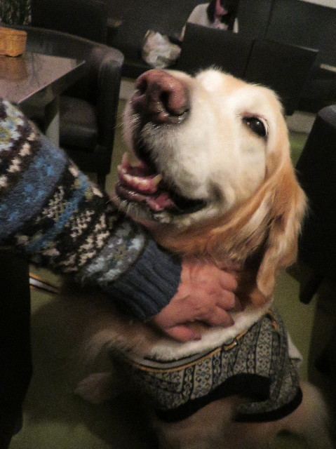 ファイル 6025-1.jpg