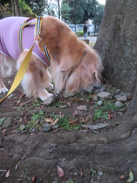 ファイル 6025-4.jpg