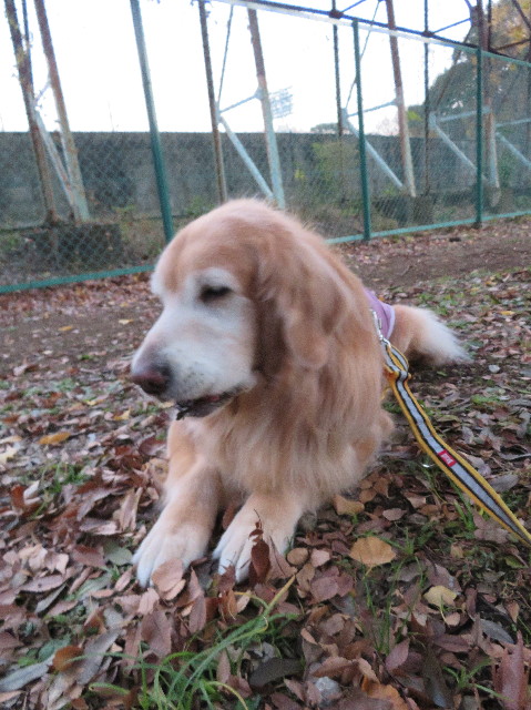 ファイル 6025-5.jpg