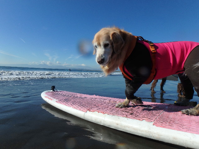 ファイル 6027-4.jpg