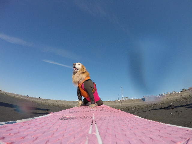 ファイル 6027-5.jpg