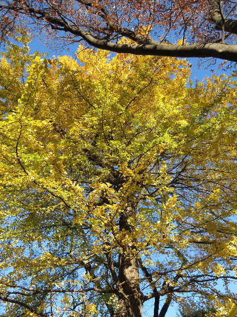 ファイル 6028-5.jpg