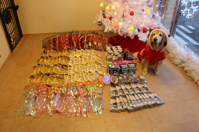 ファイル 6029-4.jpg