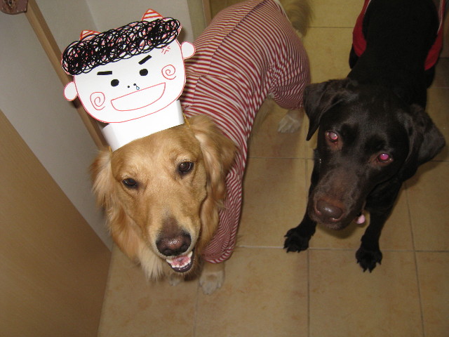 ファイル 603-1.jpg