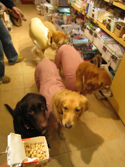 ファイル 603-3.jpg