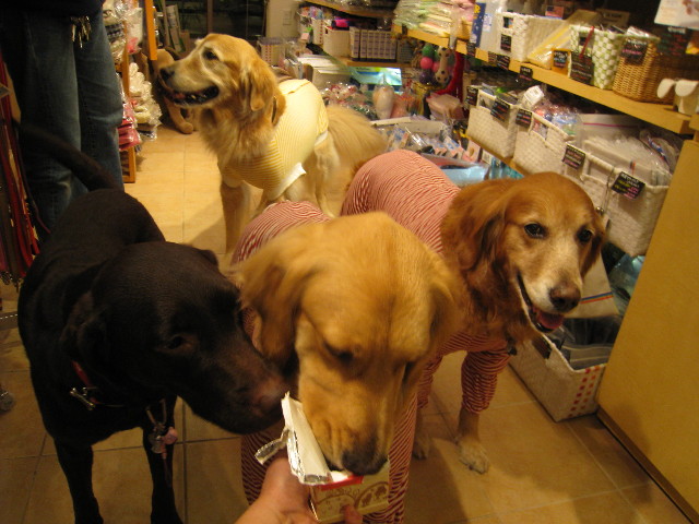 ファイル 603-4.jpg