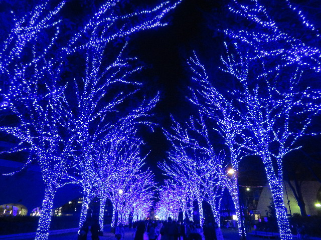 ファイル 6030-2.jpg