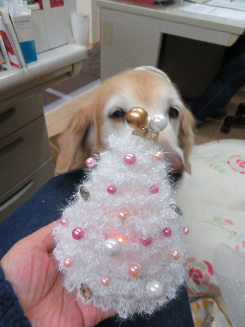 ファイル 6031-3.jpg