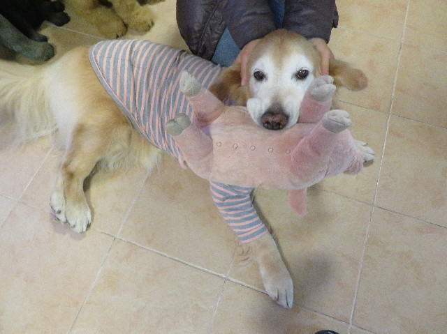 ファイル 6032-5.jpg