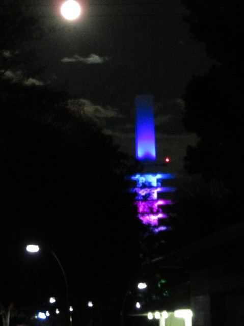 ファイル 6033-5.jpg