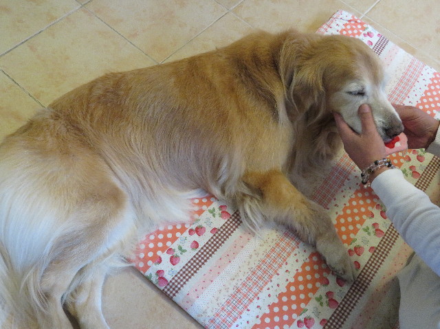 ファイル 6034-4.jpg