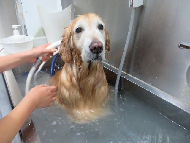 ファイル 6035-5.jpg