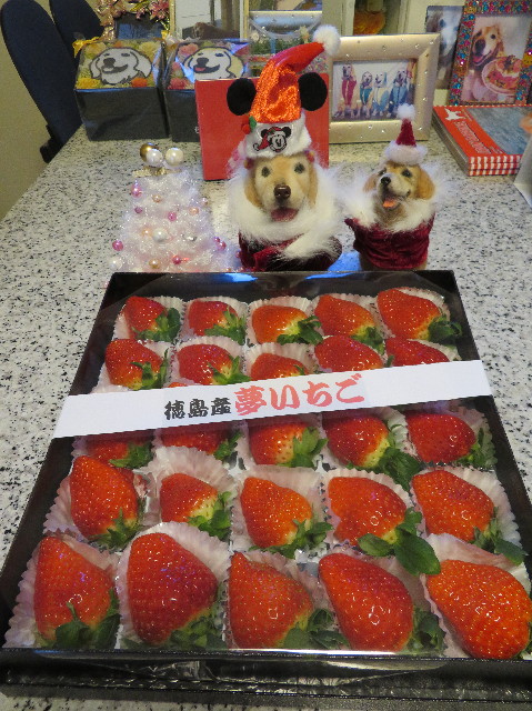 ファイル 6037-5.jpg