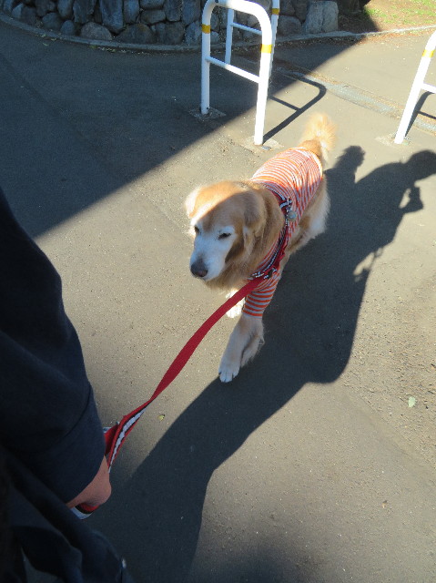 ファイル 6038-2.jpg