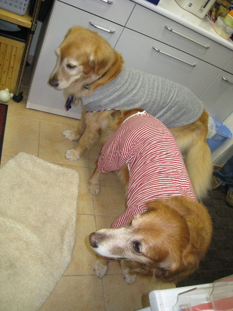 ファイル 604-3.jpg