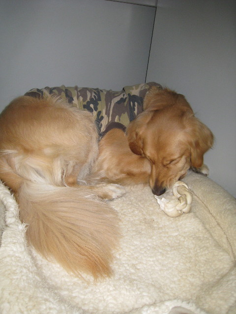 ファイル 604-5.jpg